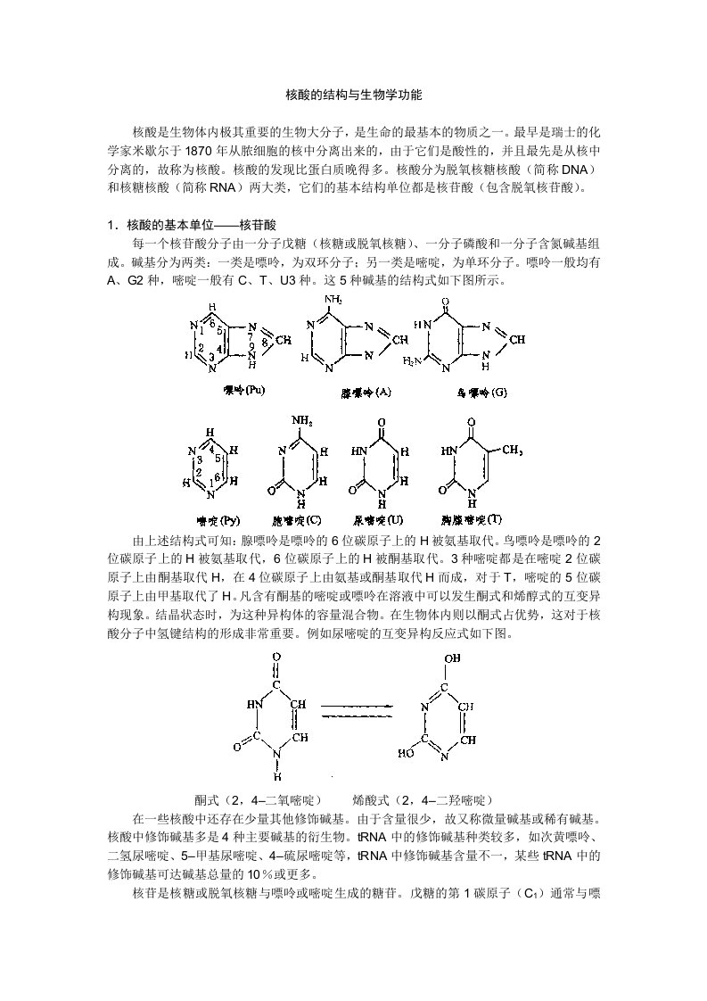 生物科技-核酸的结构与生物学功能