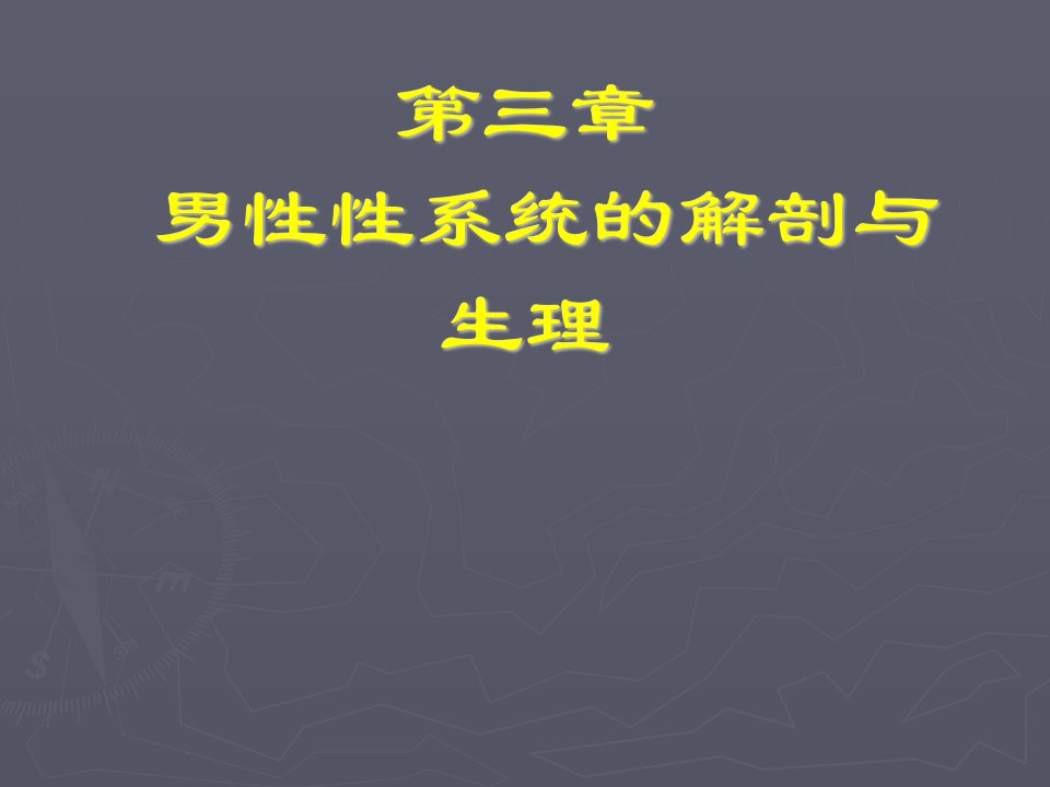 章男性性系统的解剖与生理