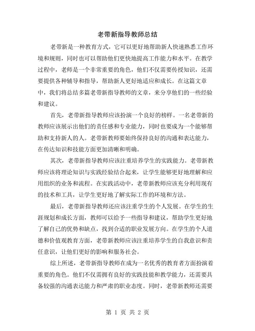 老带新指导教师总结