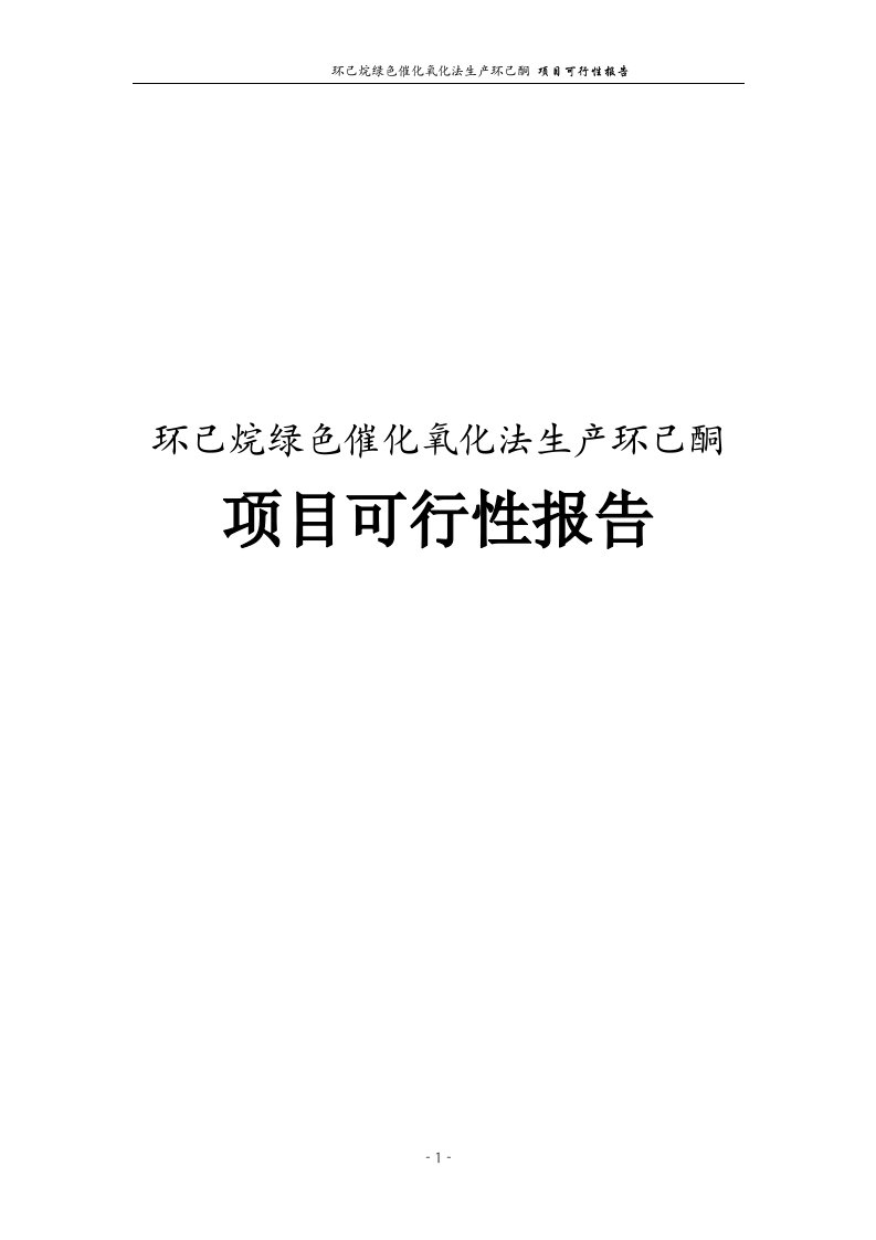 环己烷绿色催化氧化法生产环己酮项目可行性报告