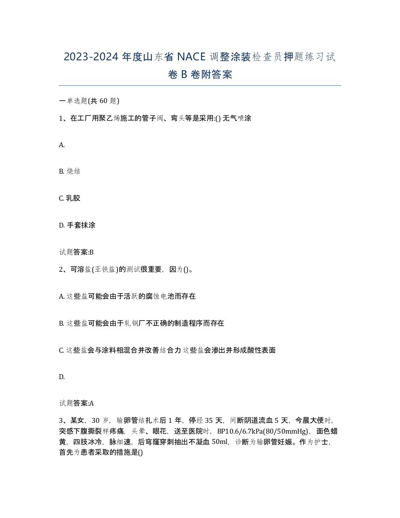 20232024年度山东省NACE调整涂装检查员押题练习试卷B卷附答案