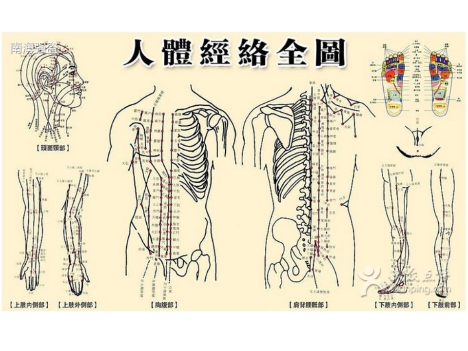 6经络腧穴总论