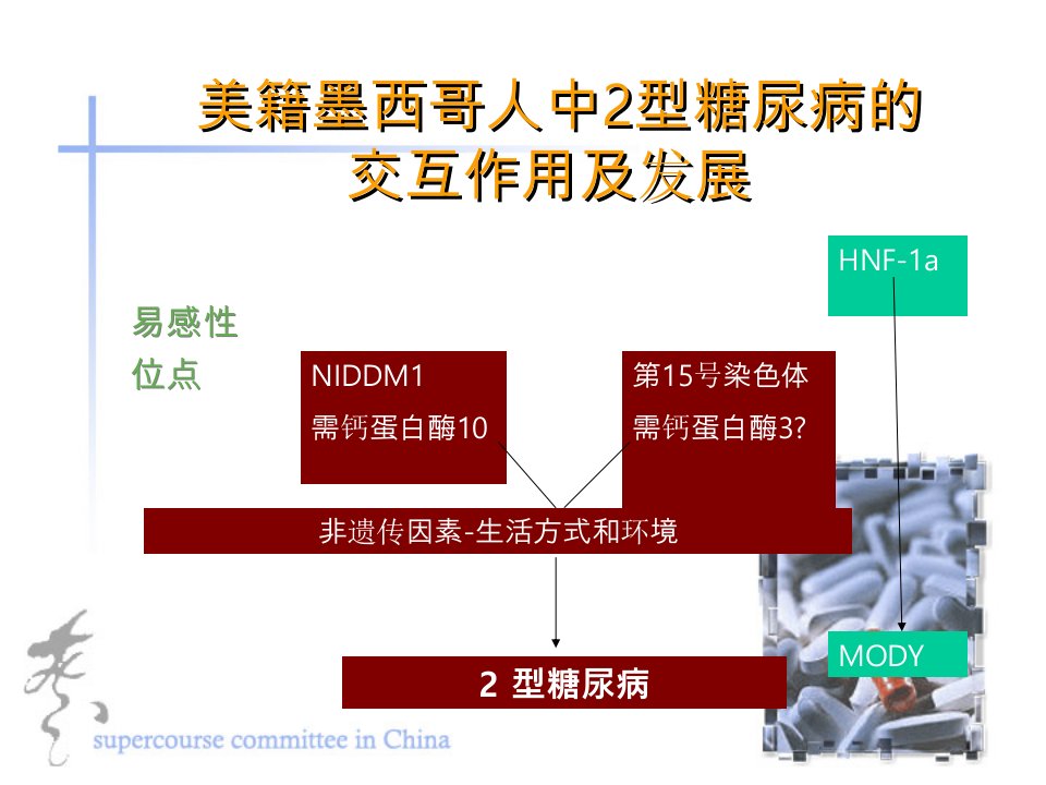 美籍墨西哥人中2型糖尿病的交互作用及发展