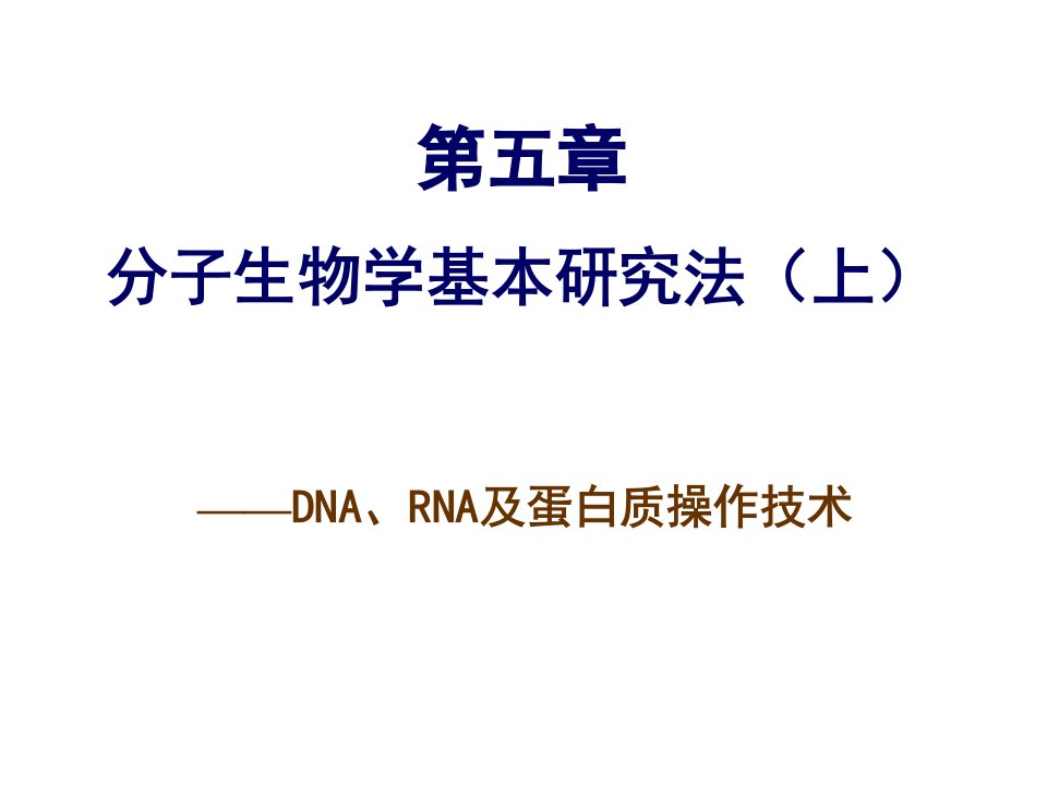 第五章分子生物学研究法上