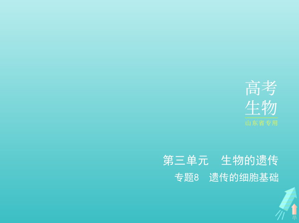 山东专用2022年高考生物一轮复习专题8遗传的细胞基础_基础篇课件