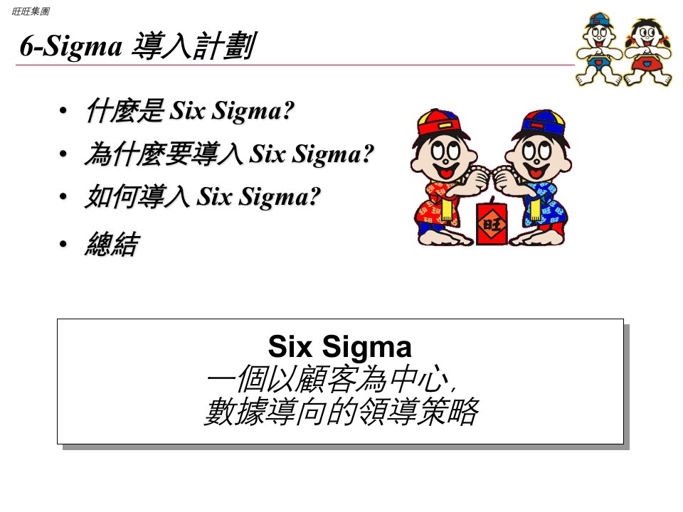 6-Sigma导入计划