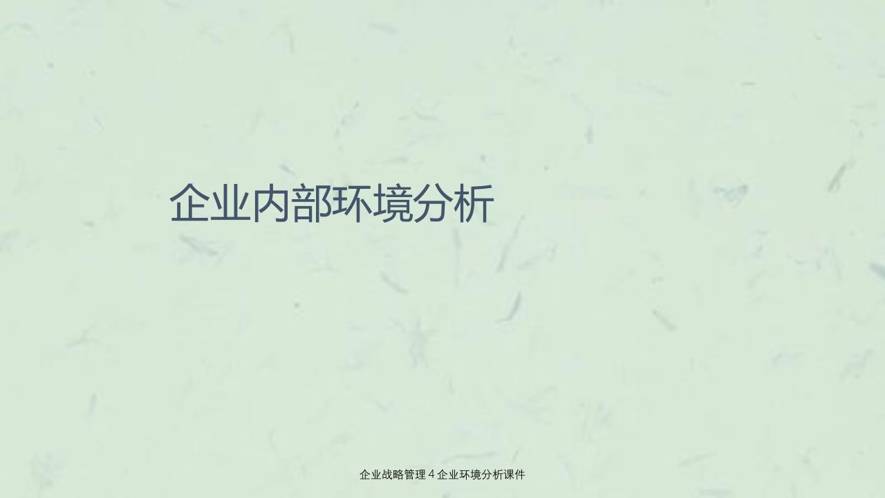 企业战略管理企业环境分析课件