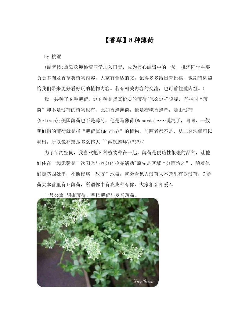 【香草】8种薄荷