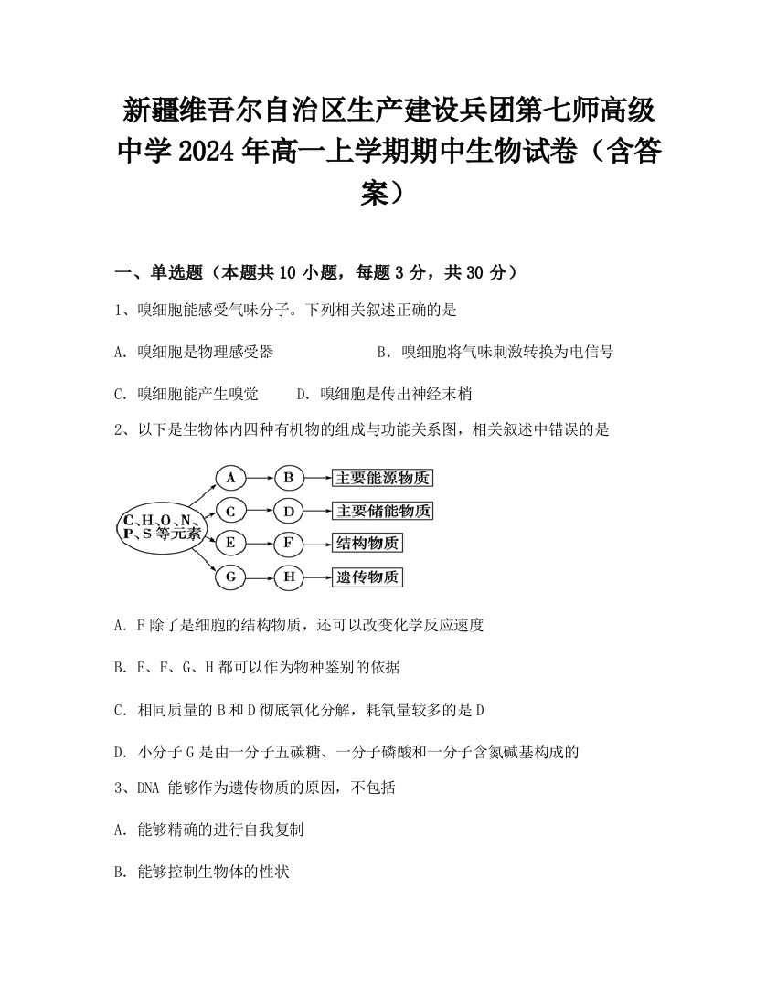 新疆维吾尔自治区生产建设兵团第七师高级中学2024年高一上学期期中生物试卷（含答案）