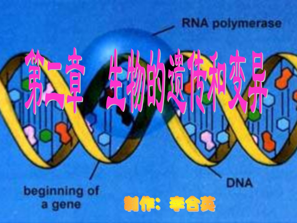 基因对性状的控制ppt培训课件