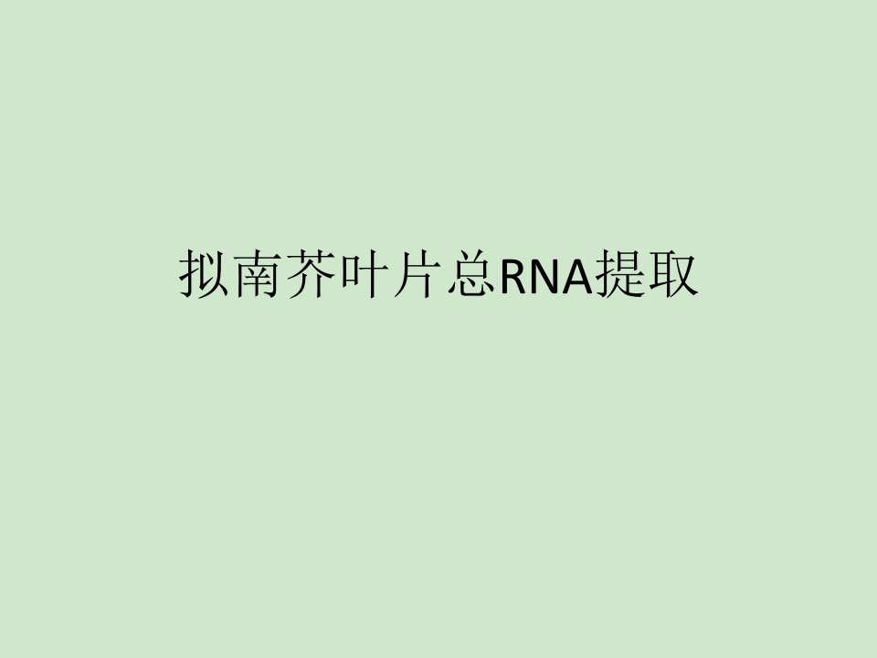 拟南芥叶片总RNA提取