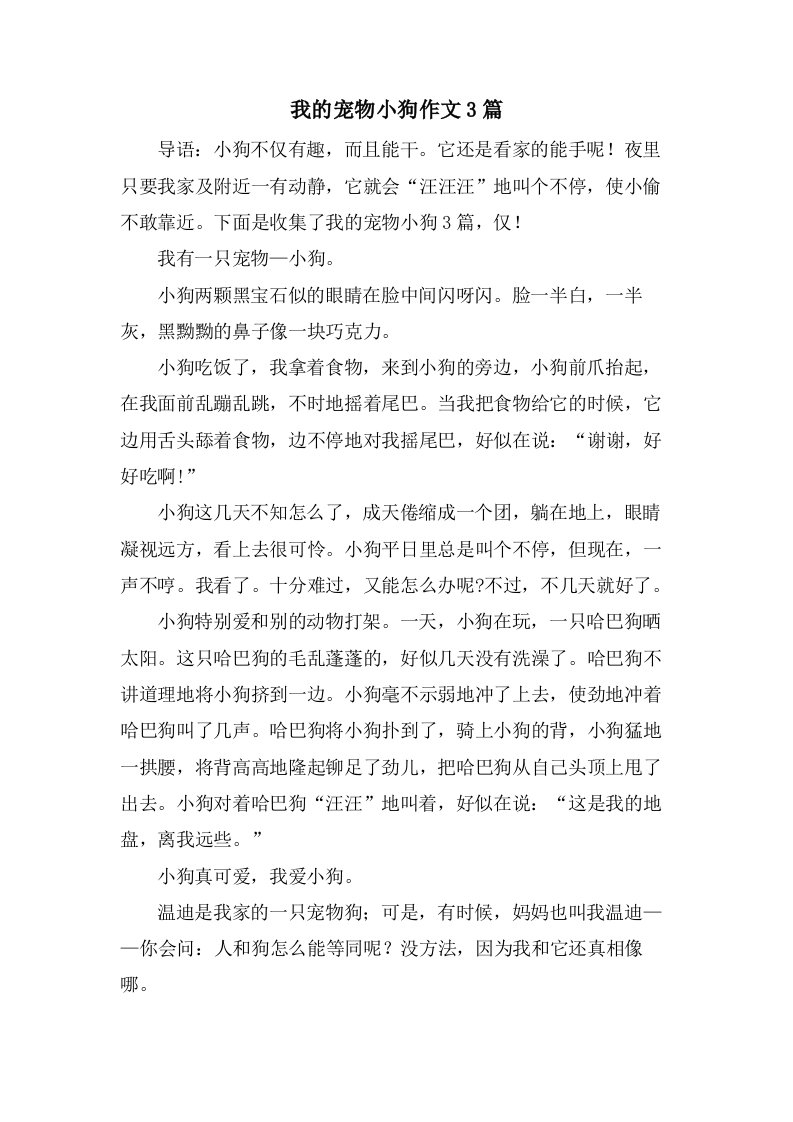 我的宠物小狗作文3篇