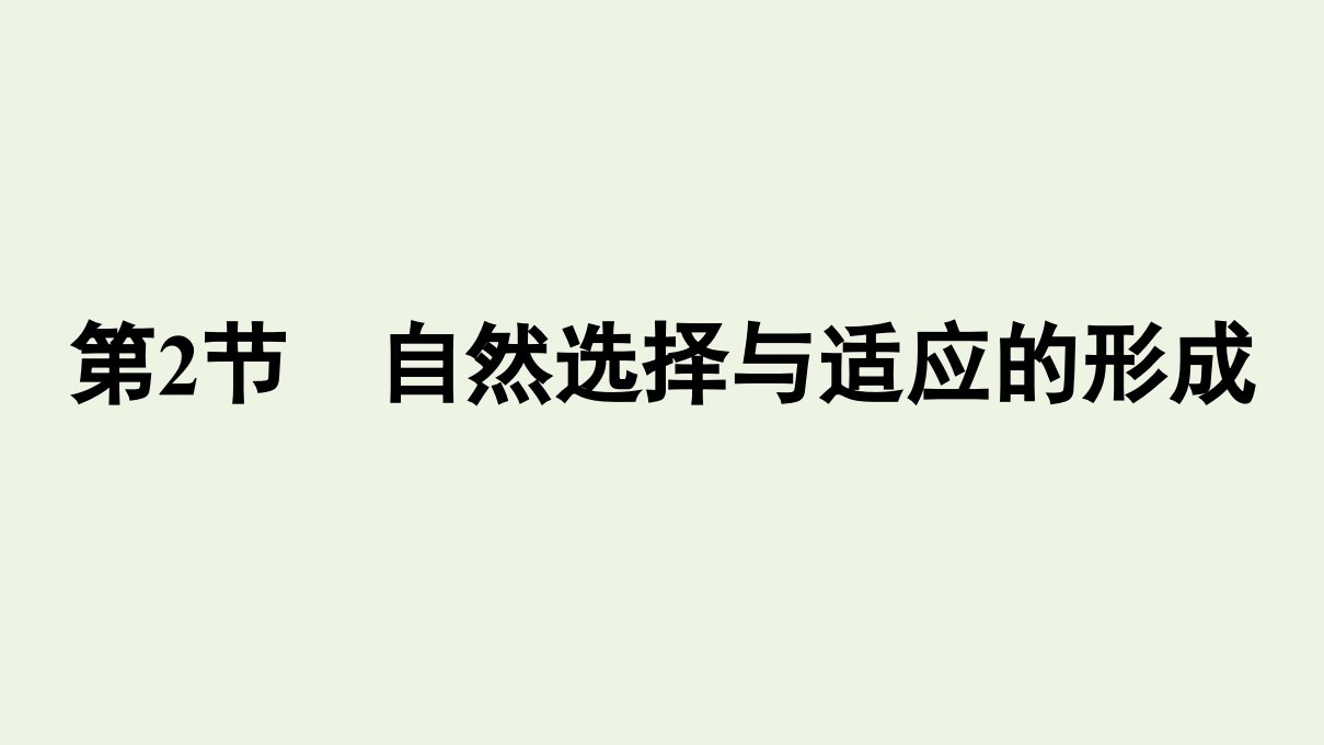 2020_2021学年新教材高中生物第6章生物的进化第2节自然选择与适应的形成课件新人教版必修第二册