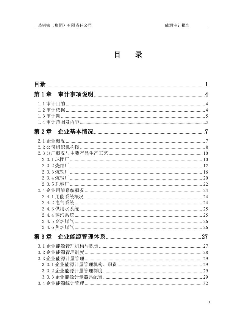 某钢铁企业能源审计报告