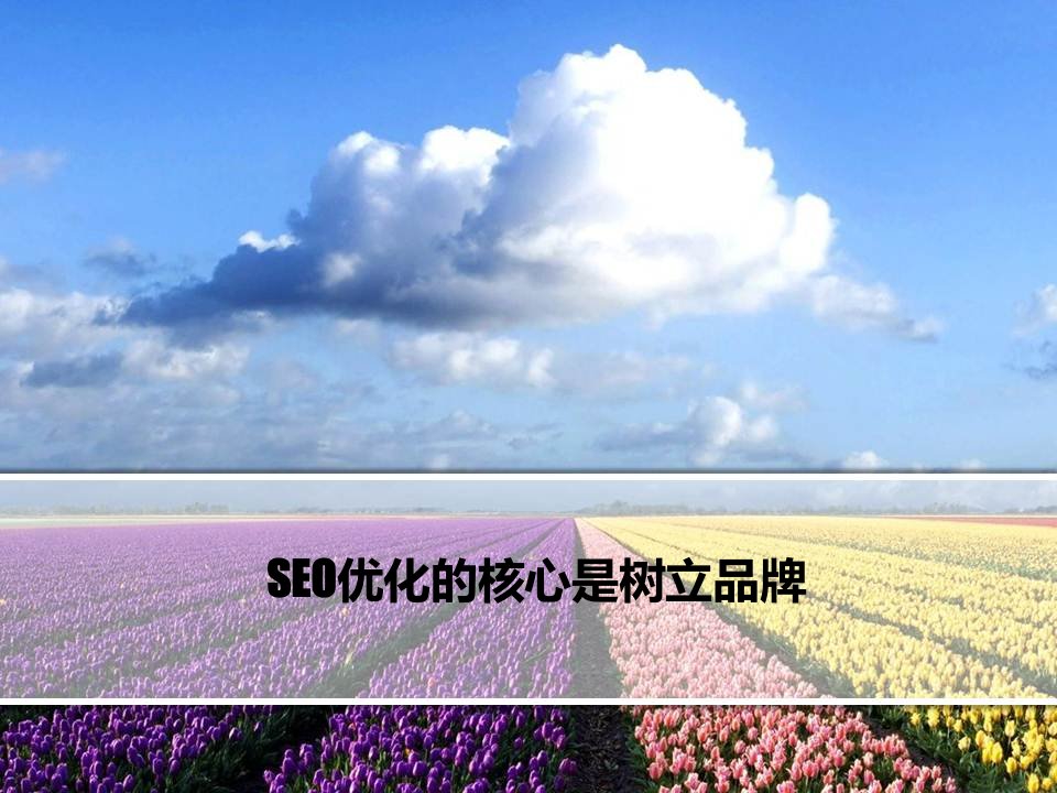 SEO优化的核心是树立品牌