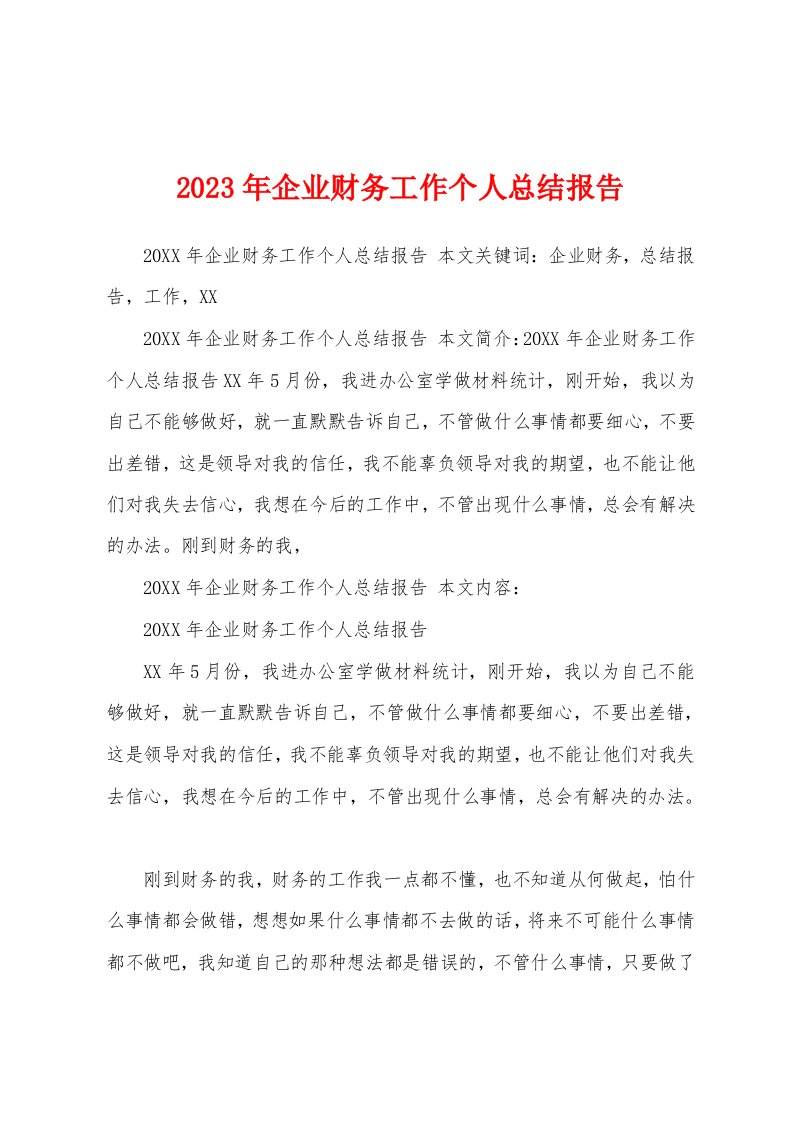 2023年企业财务工作个人总结报告