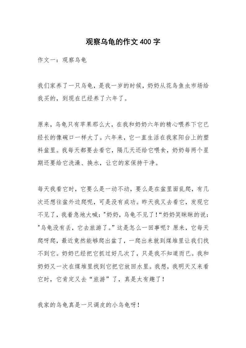 观察乌龟的作文400字