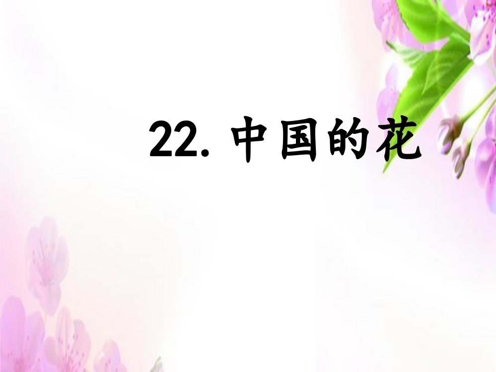 六级上册语文课件－《中国的花》｜鄂教版