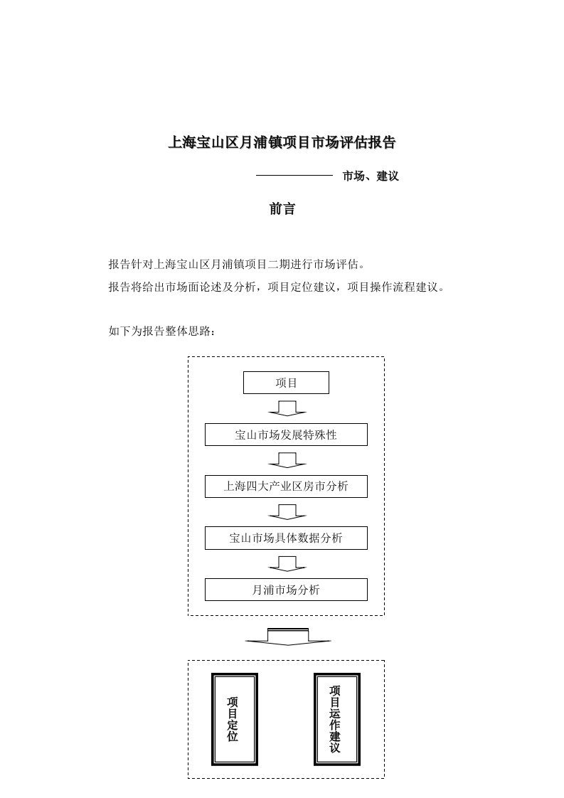 上海专项项目市场分析报告