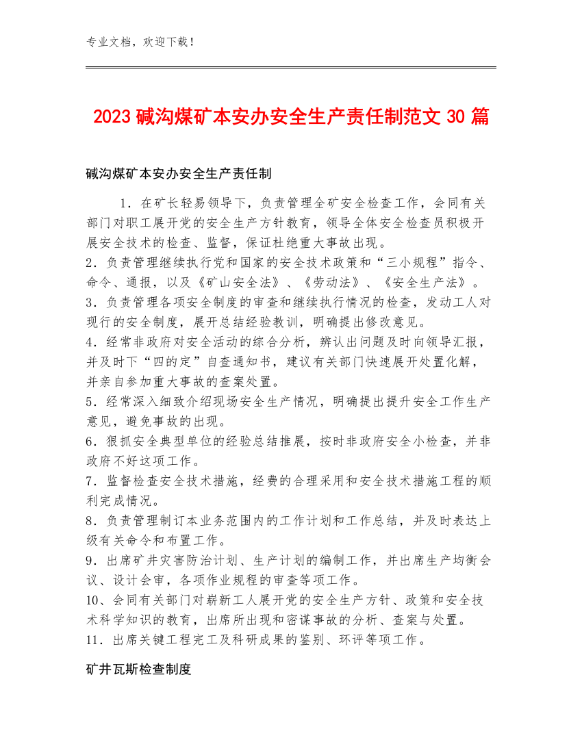 2023碱沟煤矿本安办安全生产责任制范文30篇