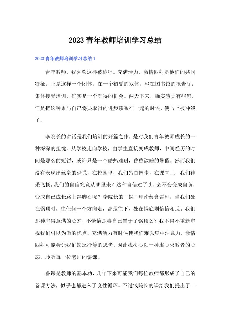 2023青年教师培训学习总结