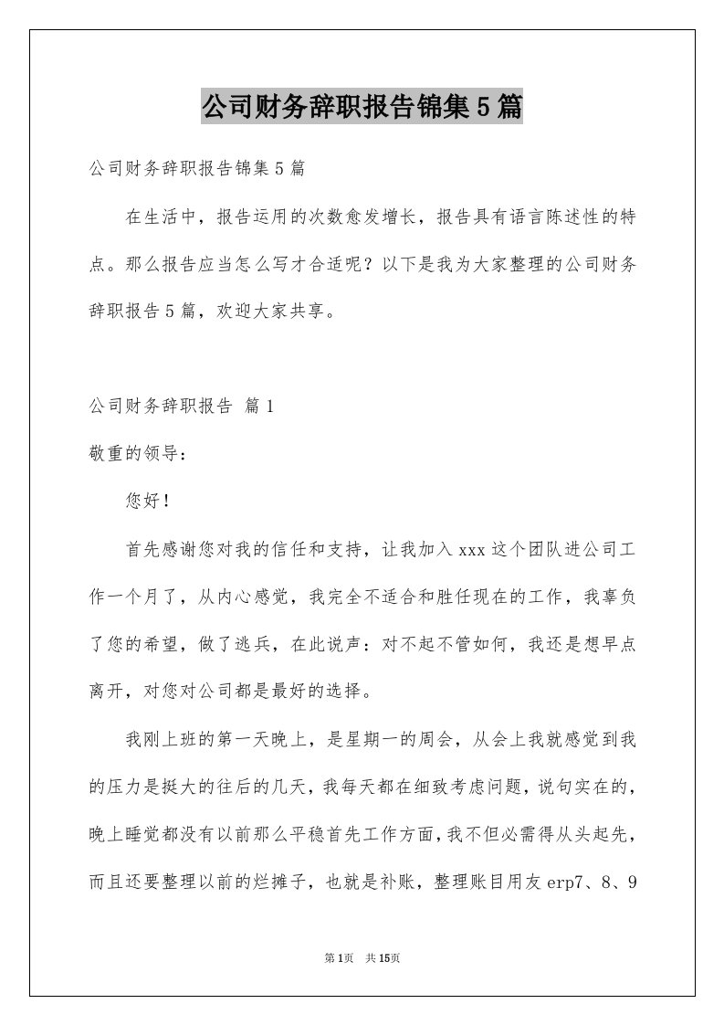 公司财务辞职报告锦集5篇