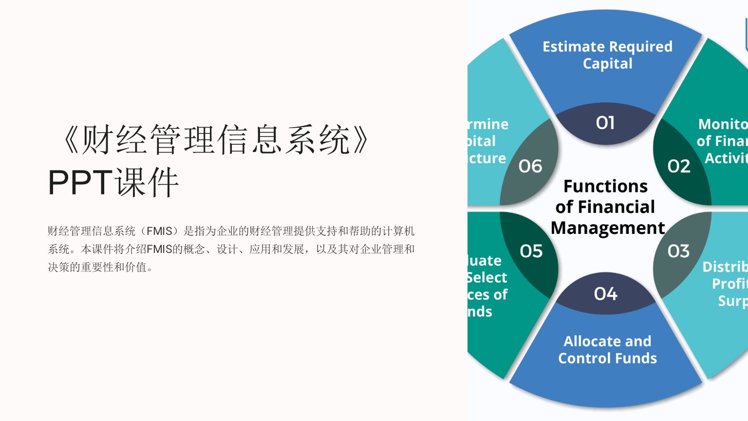 《财经管理信息系统》课件