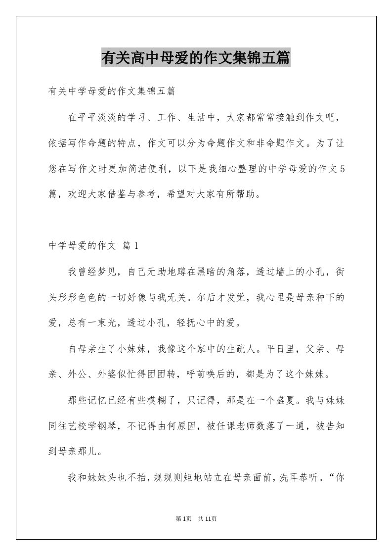 有关高中母爱的作文集锦五篇例文