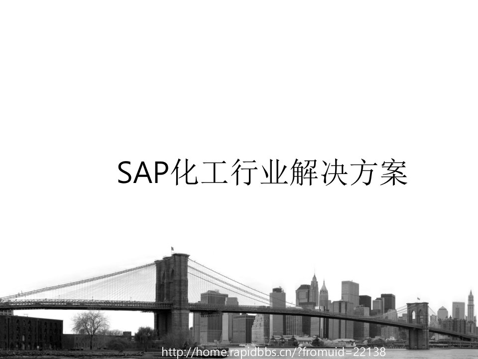 SAP化工行业解决方案