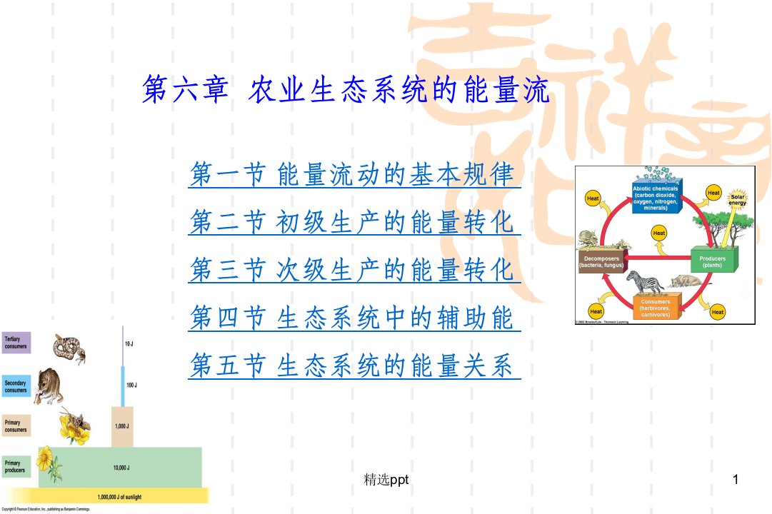 农业生态系统的能量流课件