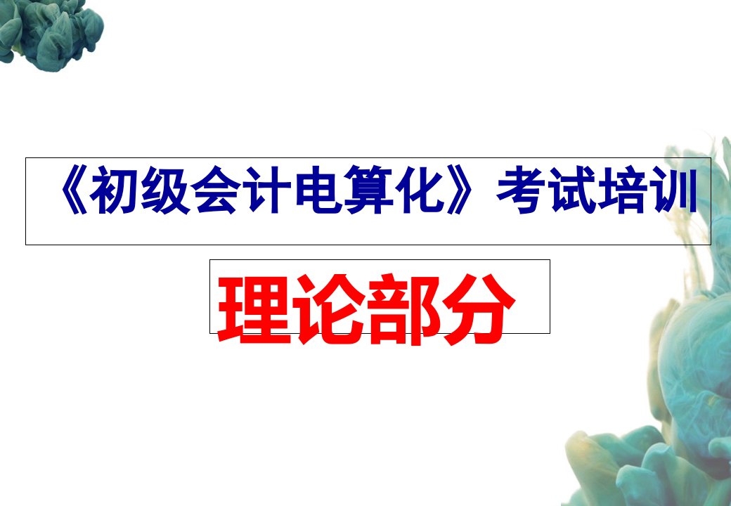 《初级会计电算化》考试指导--理论部分ppt课件