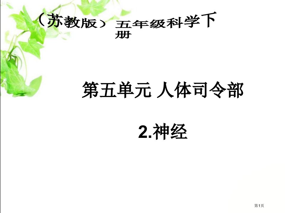 神经苏教版小学科学五年级下册市名师优质课比赛一等奖市公开课获奖课件