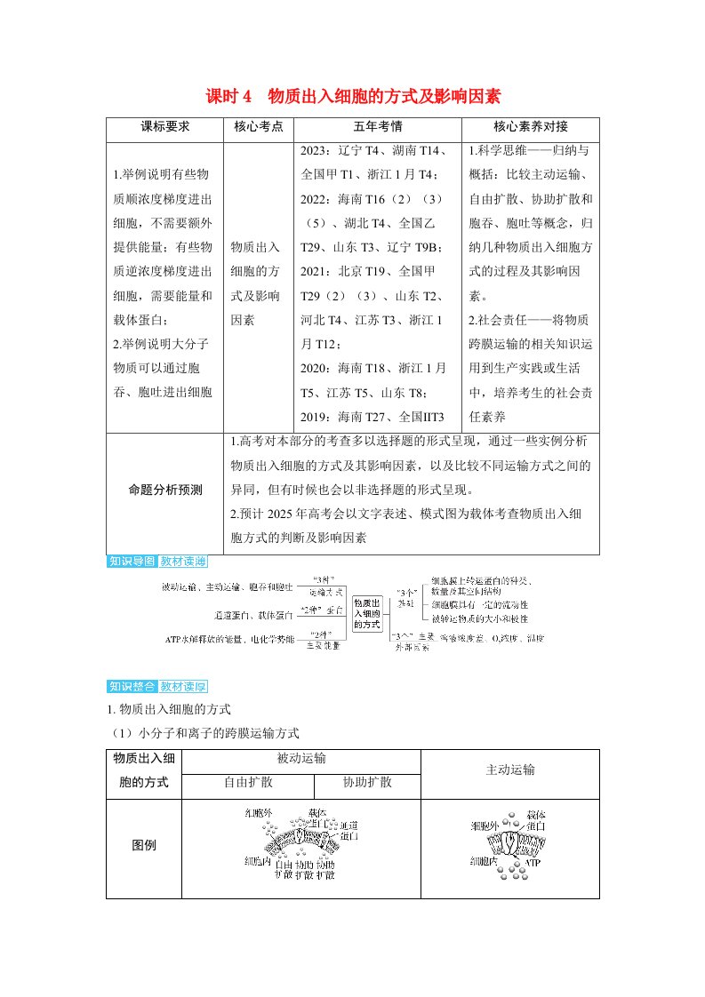 备考2024届高考生物一轮复习讲义第二章细胞的基本结构和物质的运输课时4物质出入细胞的方式及影响因素