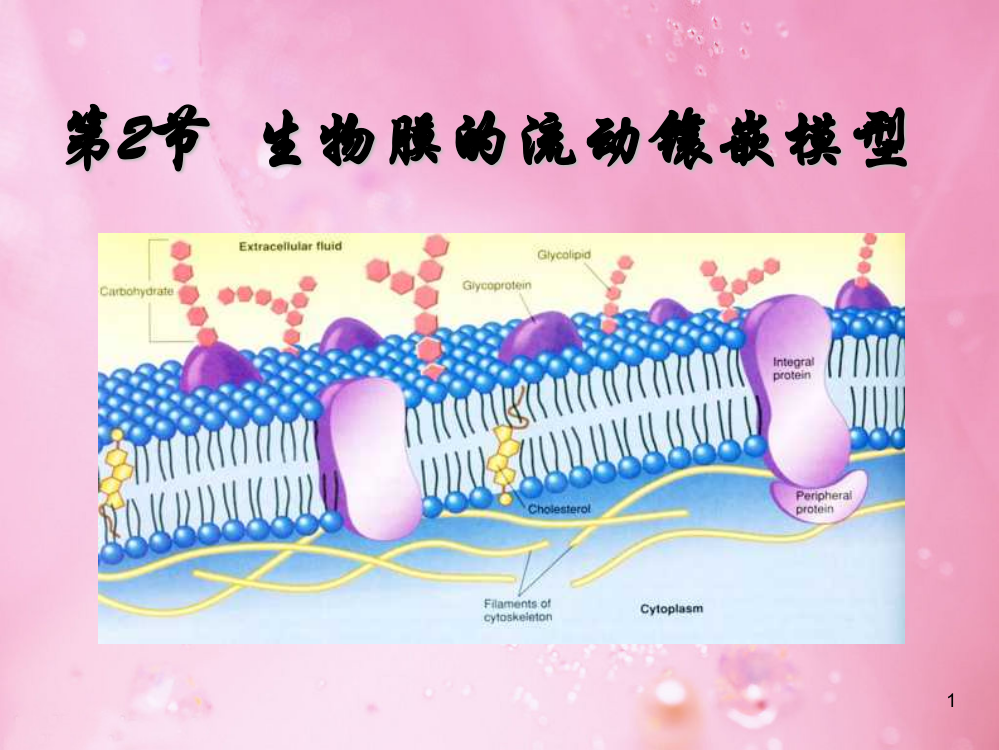 生物膜的流动镶嵌模型及物质跨膜运输的方式ppt课件