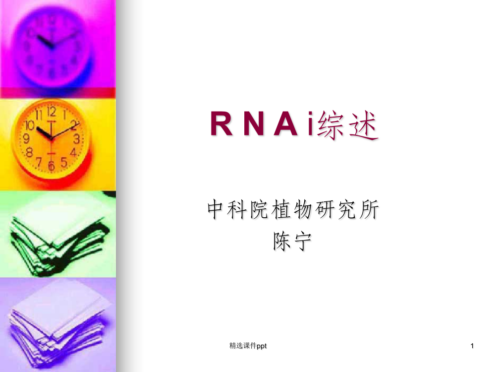 《RNAi综述完整》PPT课件