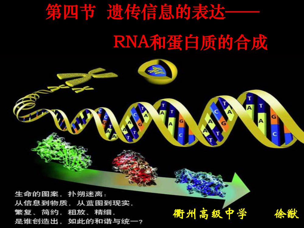 人教版教学课件2010年浙江省生物培训课件