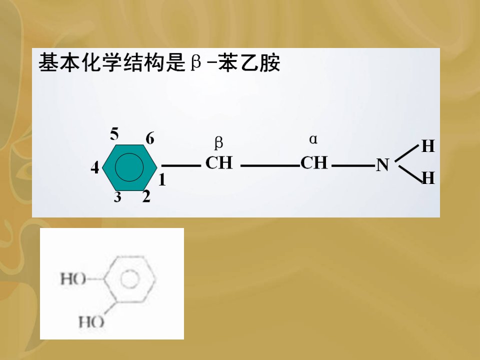 第六章1肾上腺素受体激动药