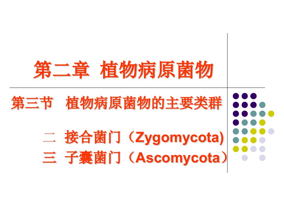 《接合菌、子囊菌》PPT课件