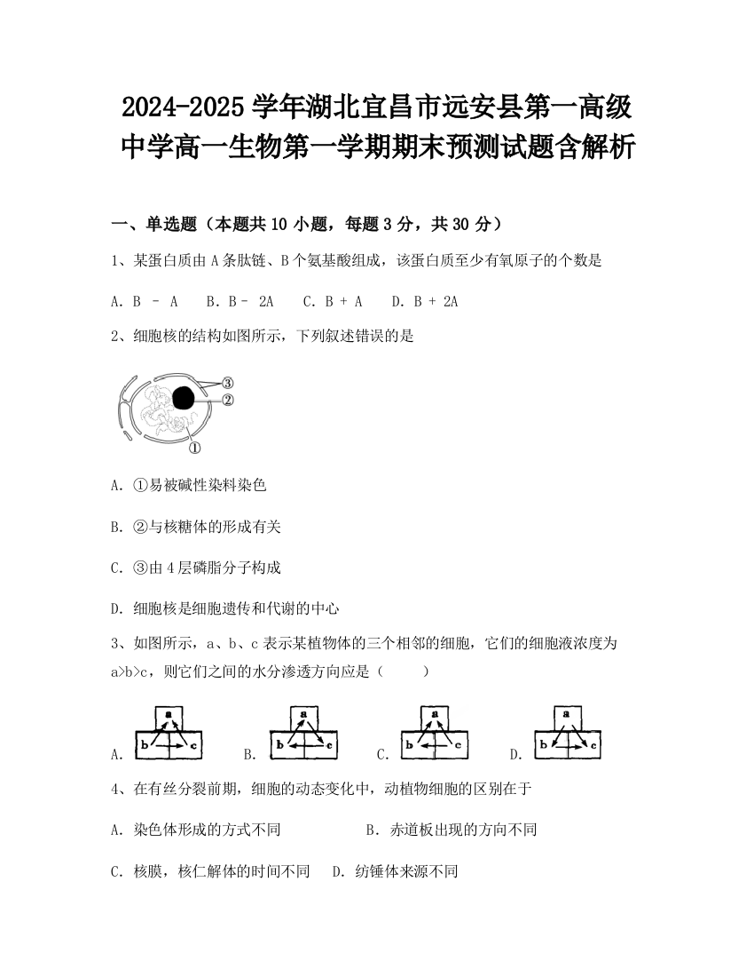 2024-2025学年湖北宜昌市远安县第一高级中学高一生物第一学期期末预测试题含解析