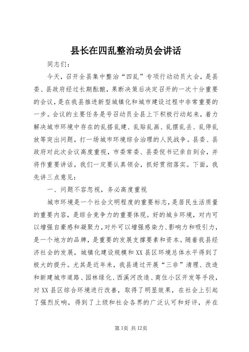 县长在四乱整治动员会讲话