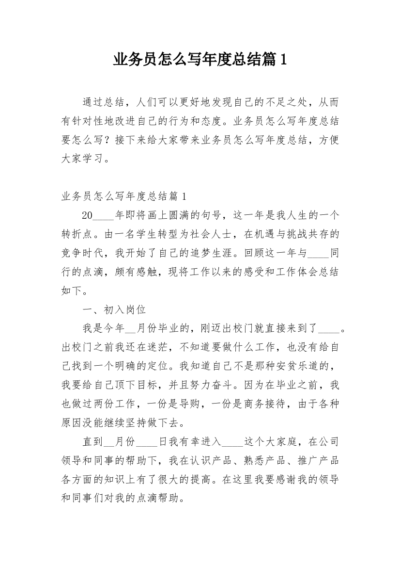 业务员怎么写年度总结篇1