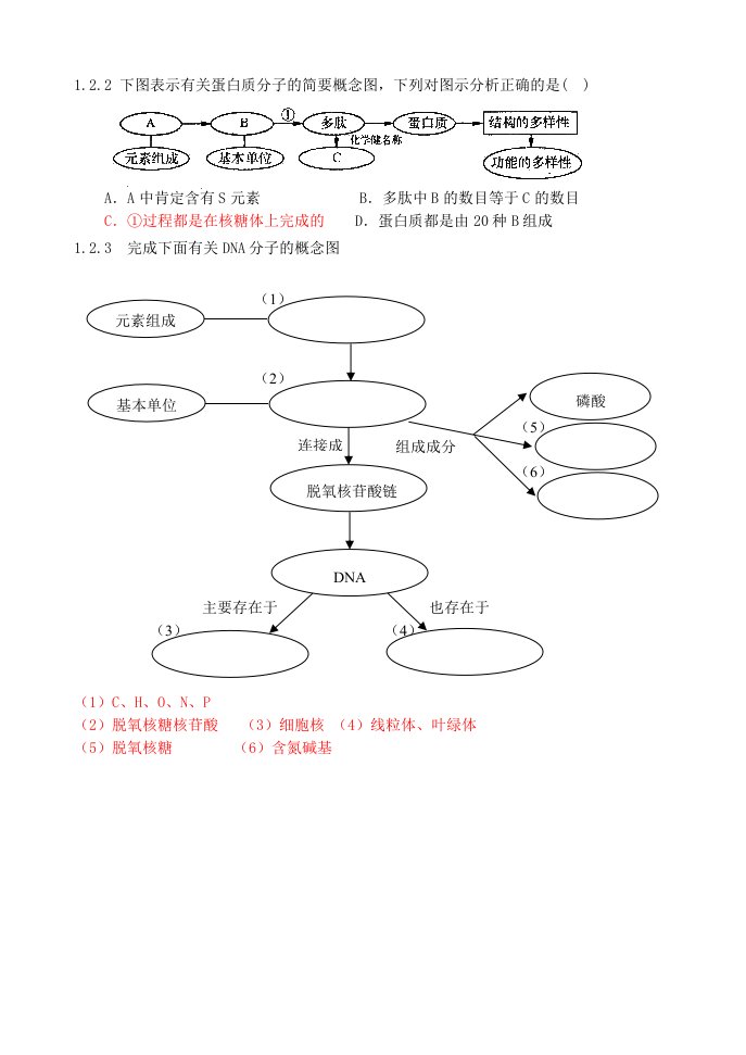 生物必修1概念图练习