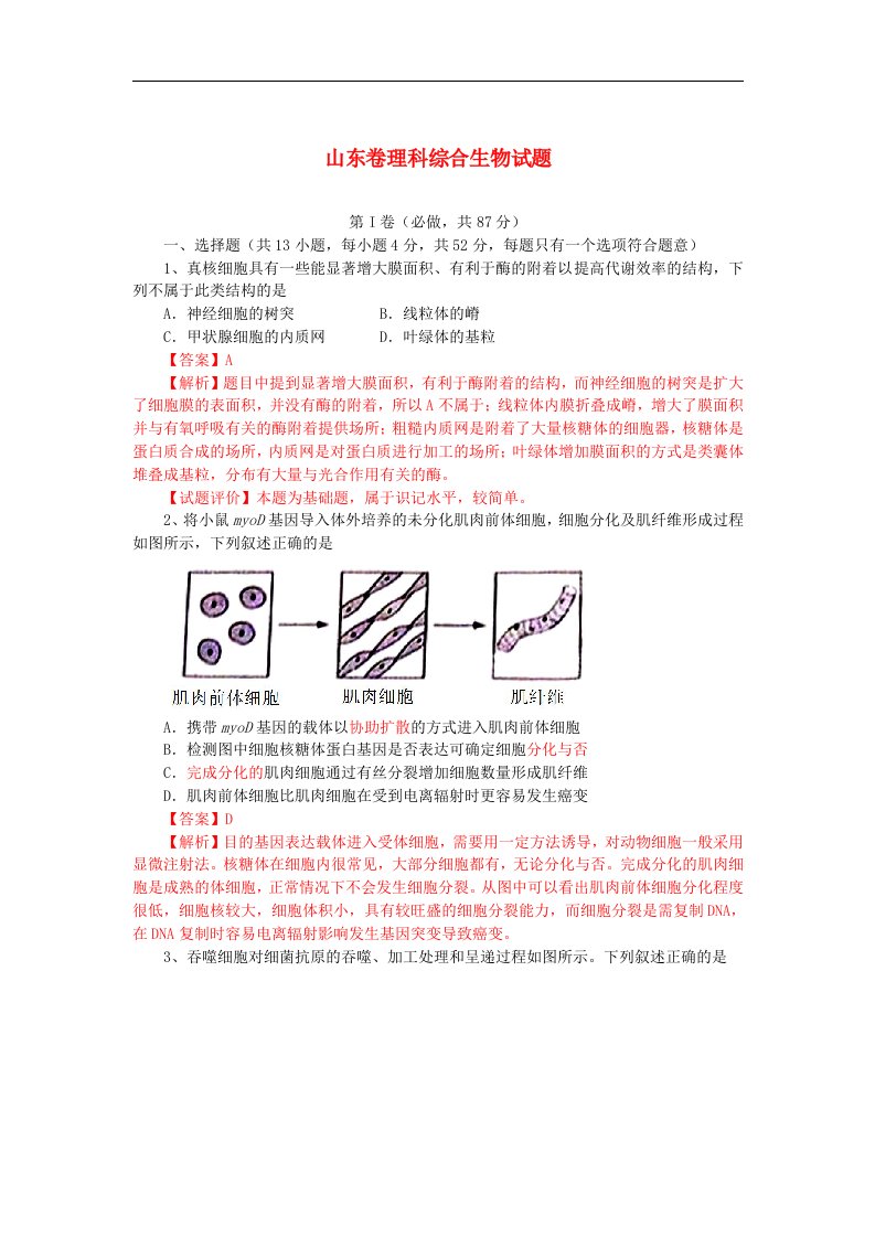 普通高等学校招生全国统一考试理综（生物）试题（山东卷，解析版2）