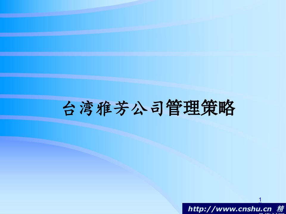 台湾雅芳公司管理策略报告