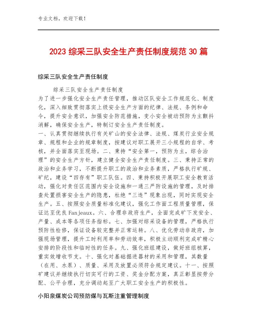 2023综采三队安全生产责任制度规范30篇