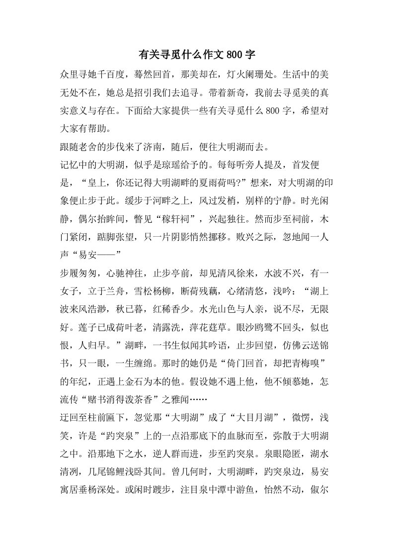 有关寻觅什么作文800字