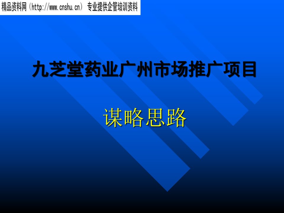 [精选]九芝堂药业市场推广项目策略分析