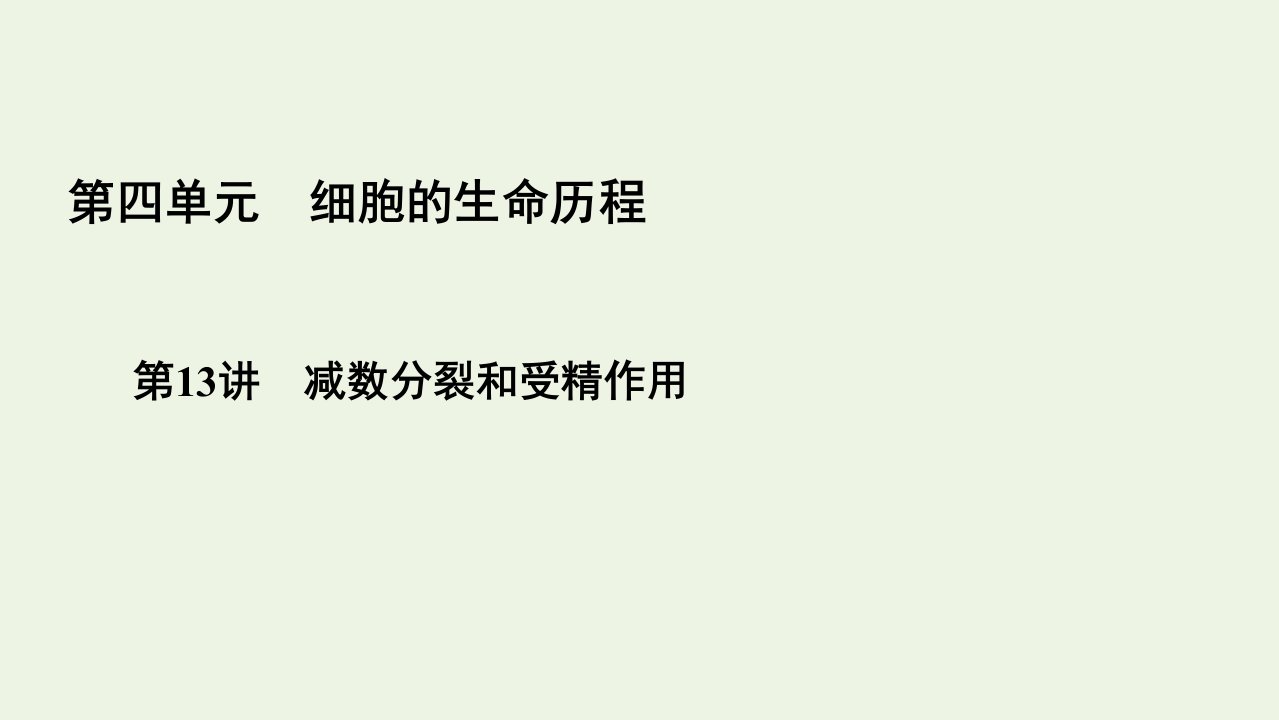 全国通用2021版高考生物一轮复习第4单元第13讲减数分裂和受精作用课件