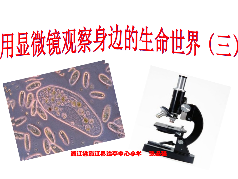 教科版科学六年级下册《用显微镜观察身边的生命世界》名师公开课获奖课件百校联赛一等奖课件