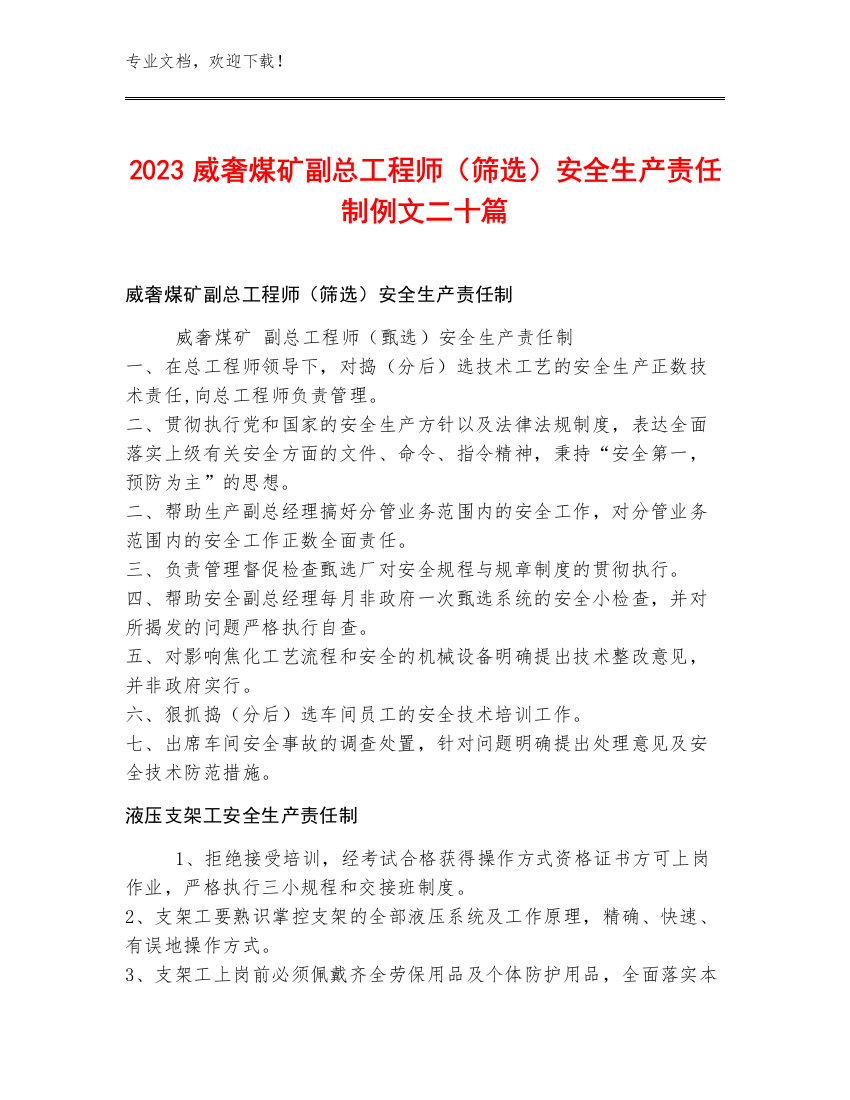 2023威奢煤矿副总工程师（筛选）安全生产责任制例文二十篇